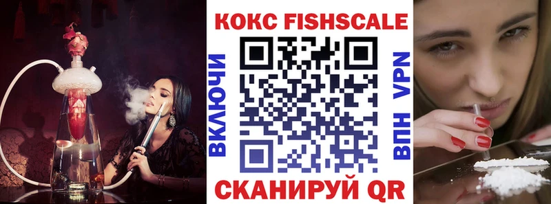 где купить   Электроугли  COCAIN FishScale 