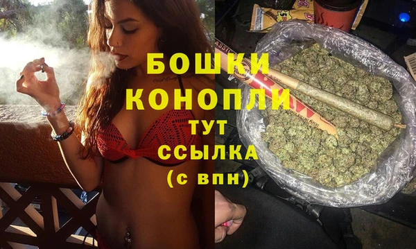 сатива Абаза