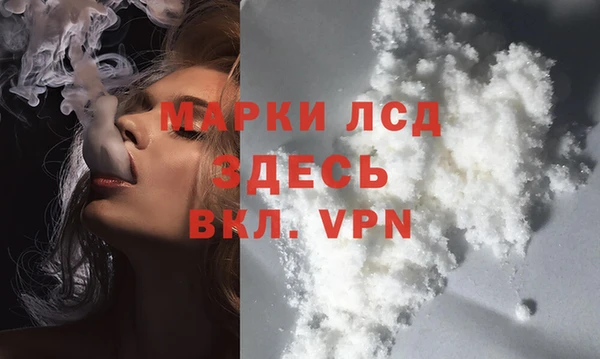 хмурый Нея